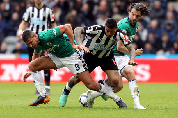 家发展紧密 家发展紧密